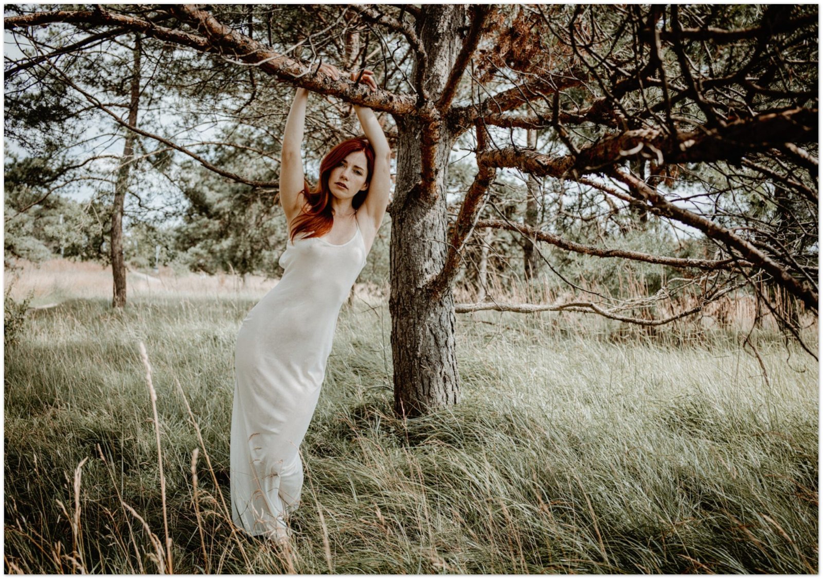 Anna in the forest, wearing a lucent dress